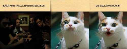 On siellä paskaakin