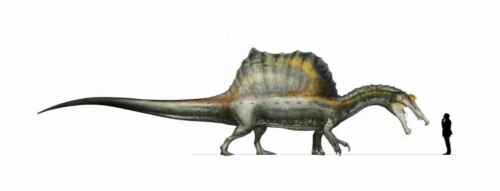 2014 päivitetty Spinosaurus