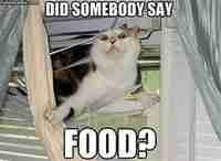 Kuuli ruokapussin rapinaa :3