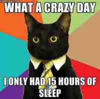 Kissat köllöttelee