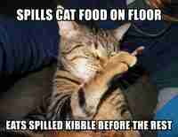 Hyvä kaveri börh :3