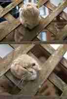 Midäs däällä dabahduu? *hmmph*