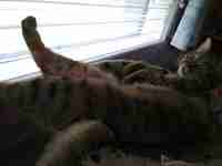 "Mitäs tuolla tapahtuu... Ja mitäs siinä kuvailet?" &a