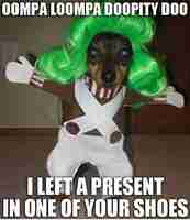 Laitoin lahjan sulle...