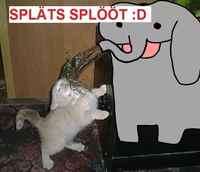 >spläts splööt :D