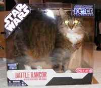 Olkoon börh kanssanne :3