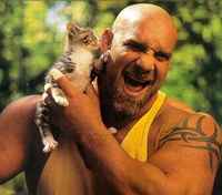 Perjantain extra ft. kissakuvia :3