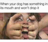 nyt se pois suusta ja heti