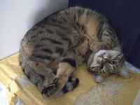 Saat anteeksi että raatelin kirjekuoresi ;3 <3