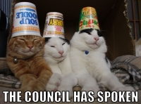 Neuvosto on puhunut
