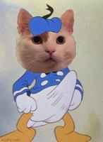 Autistinen panokissa