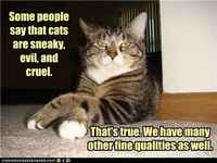 Syytä olla ylpeä ;3