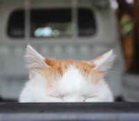 Kuulen mitä teet siellä... ja näen myös :3