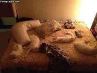 Sängynvalloittajat :3