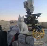 Älä huoli hooman, minä puolustan!