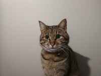 Näin ollaan huolestuneita maailman tilanteesta