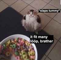 Lööp