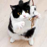 Nyt olet mennyttä >:3