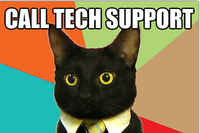 Miksi kissa ottaa yhteyttä mikrotukeen?