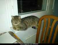 Tasapainoista parkouria :3