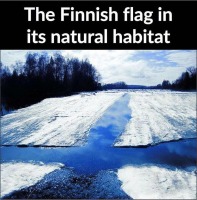 Suomen lippu luonnollisessa elinympäristössään