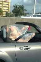 Kinkku jäi kiikkiin