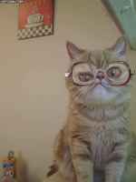 Korjasi näkönsä :3