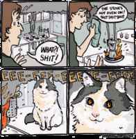 Jotkut börheät haluavat vain nähdä maailman palavan :3