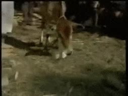 Miten meni niiku omasta mielestä..