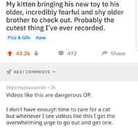 Antoi kaverille lelun