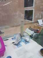 Mikä selkäranka? :3