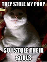 Kosto on börheä >:3