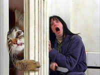 Mitä sä teet siellä vessassa! >:3