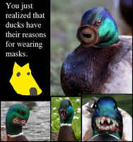 Etpä ollut aiemmin huomannut tätä.