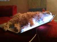 Läppäri hyötykäytössä