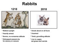 Kanien evoluutio