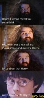 harry was not a wizard