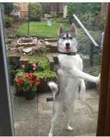 Moi tulin teille kylään