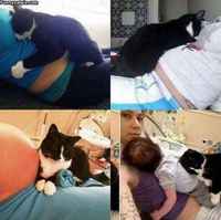 Otti vaavin omakseen