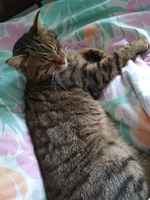 "Joko nyt on aamu?" :3