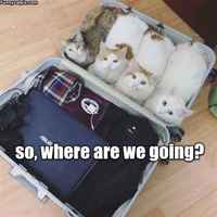 Moi, mihin me tultiin? ;3