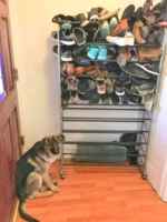 Kaikki kiva kielletty