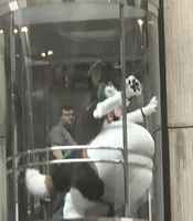 "Anteeksi herra, olen menossa tapaamiseen"