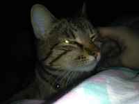 Börh after midnight ;3