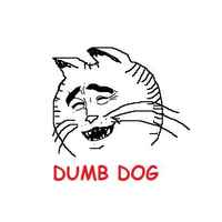 Dumb dog :D