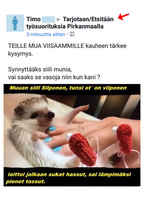 Siilistä asiaa