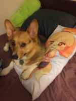 Kaksin aina kauniimpi