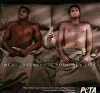 Ryhdy vegaaniksi niin voit jatkaa homoilua.