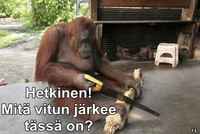 Kuntouttava työtoiminta