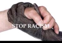 Rasismi